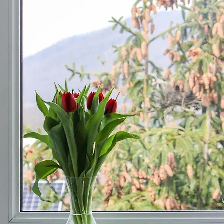 Holiday home Haskova With 3 Bedrooms Banska Bystrica