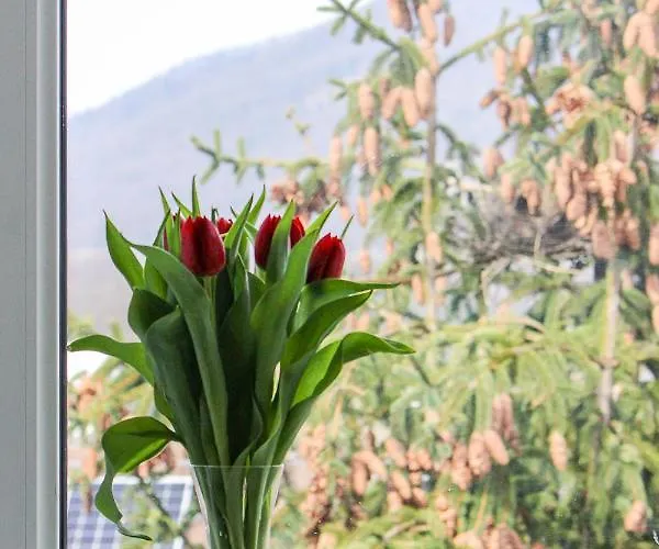 Holiday home Haskova With 3 Bedrooms Banska Bystrica